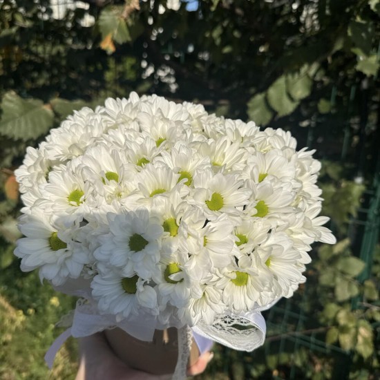 коробочка из ромашек