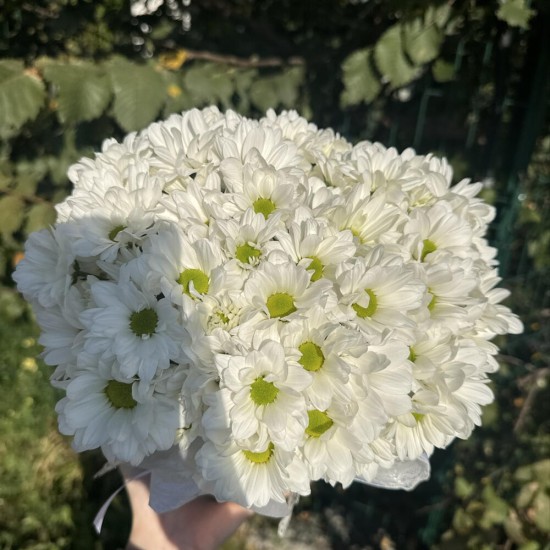 коробочка из ромашек
