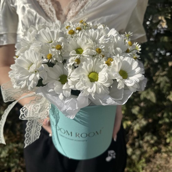 красивые ромашки bloom room