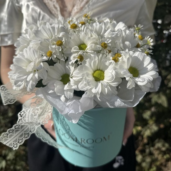 красивые ромашки bloom room
