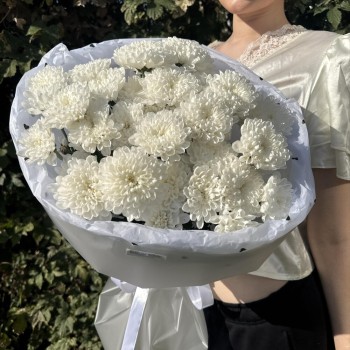 стойкий букет пышных хризантем bloom room