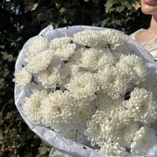 стойкий букет пышных хризантем bloom room