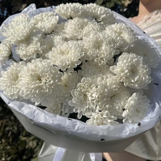 стойкий букет пышных хризантем bloom room