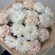 персиковый букет bloom room хризантема и диантус