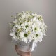 светлая композиция с ромашкой bloom room