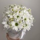 светлая композиция с ромашкой bloom room