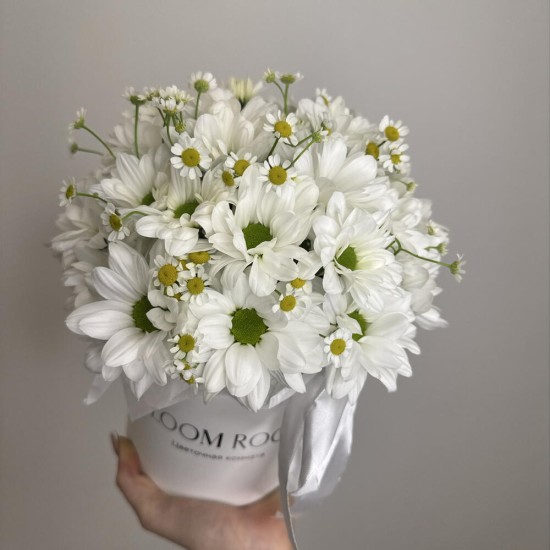 светлая композиция с ромашкой bloom room