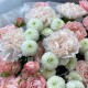 Букет в нежной гамме с пионовидными кустовыми розами, хризантемами и диантусами