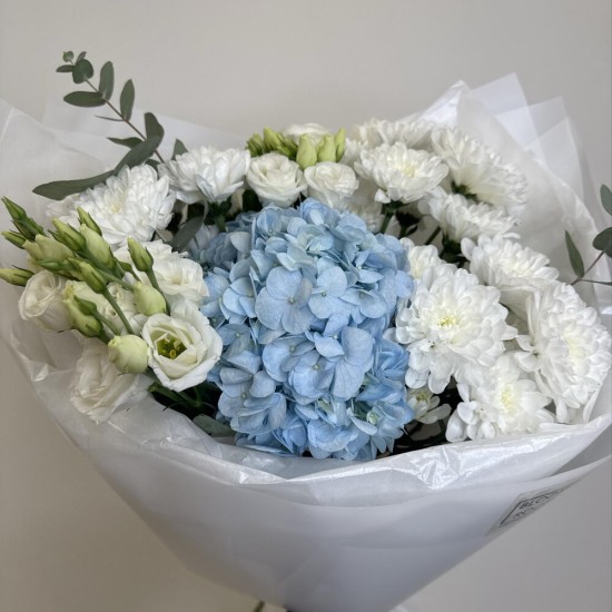 букет бабочка с гортензией и хризантемой bloom room