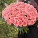 Купить букет из 51 розовой розы — большой букет с доставкой для мамы, подруги или жены