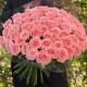 Купить букет из 51 розовой розы — большой букет с доставкой для мамы, подруги или жены