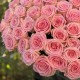 Купить букет из 51 розовой розы — большой букет с доставкой для мамы, подруги или жены