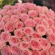 Купить букет из 51 розовой розы — большой букет с доставкой для мамы, подруги или жены
